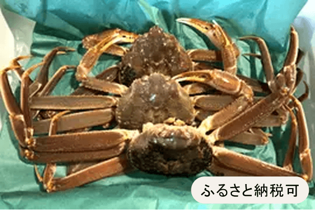 Fresh Vegetable Set 121