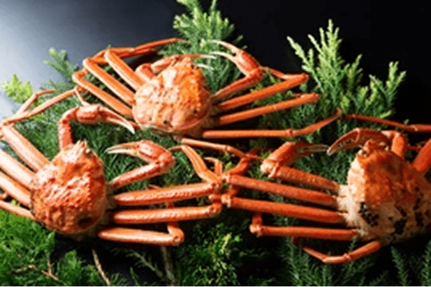 Fresh Processed Products 107